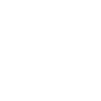 Mobile app ico